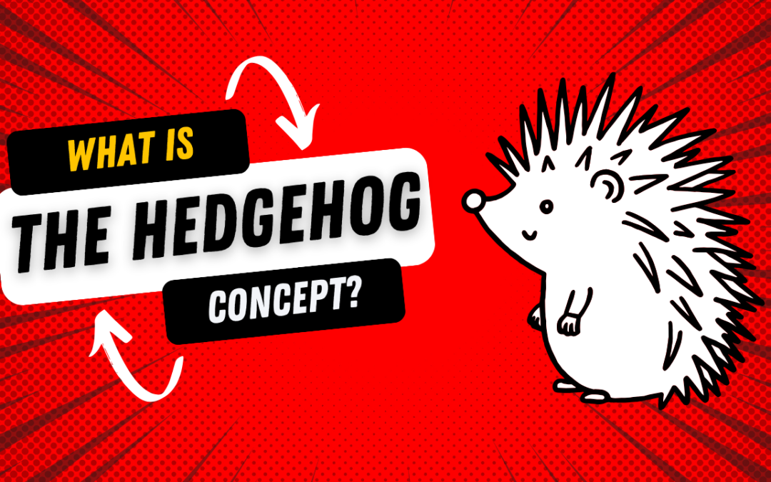Using The Hedgehog Concept To Get Crystal Clear on Your Mission